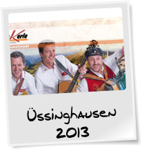 ssinghausen 2013